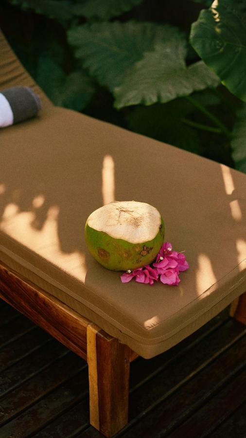 Aldea Paraiso - Adults Only - Boutique Hotel プエルト・エスコンディード エクステリア 写真